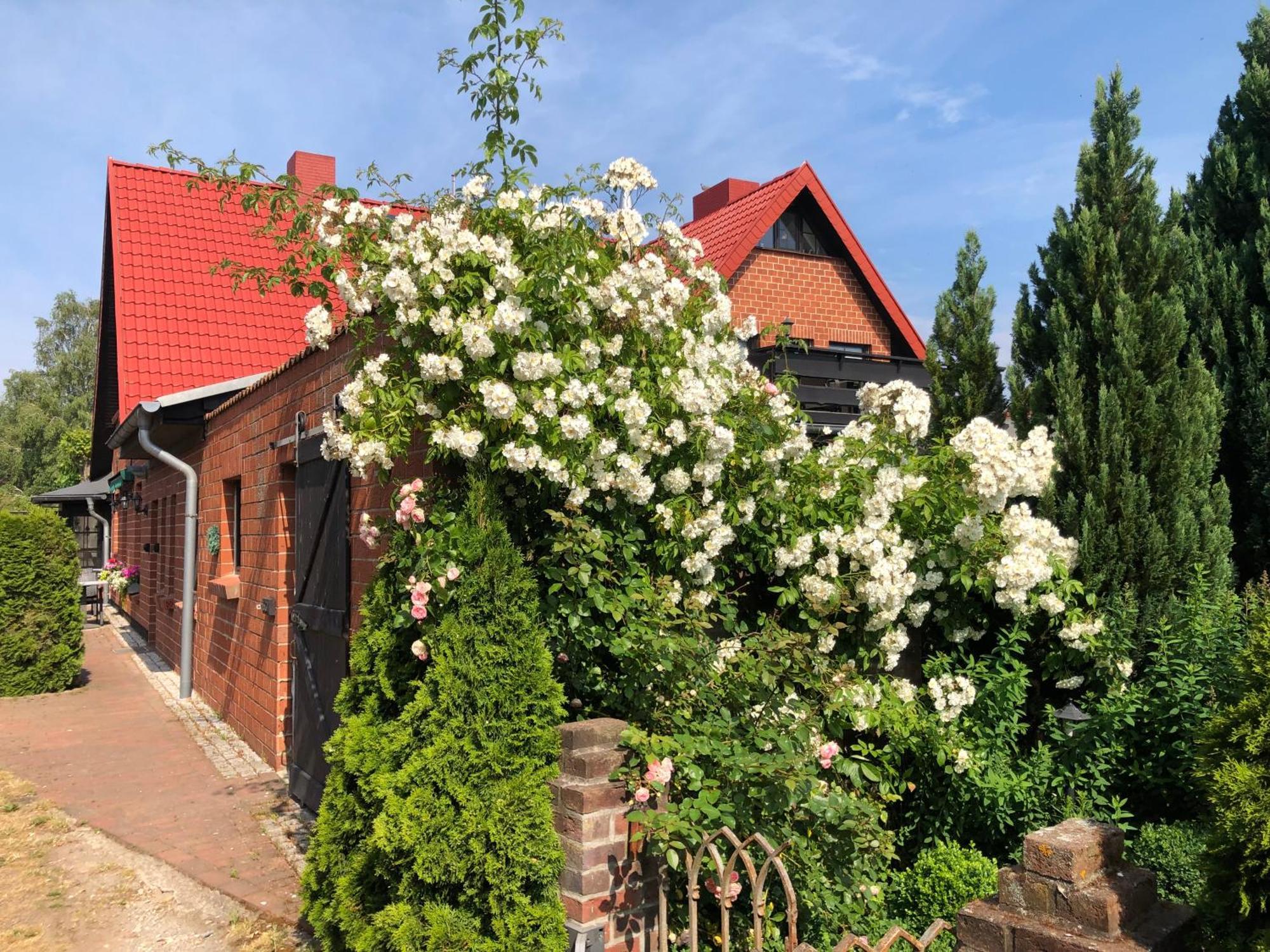 Landhaus Schlunt Wustrow  Bagian luar foto